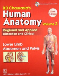 Image of BD Chaurasia's Human Anatomy : Regional and Applied Dissection and Clinical/Lower Limb Abdomen and Pelvis