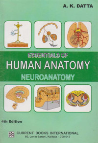 Image of Essentials of Human Anatomy : Neuroanatomy