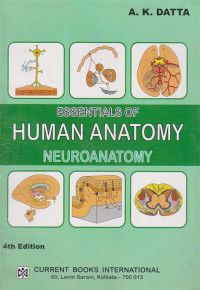 Image of Essentials of Human Anatomy : Neuroanatomy